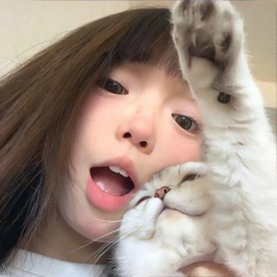 宝贝老板：抓宝行动